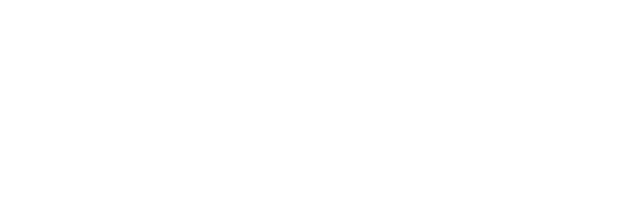 WALLNER Logo